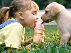 girl eats ice cream with dog and becomes infected with parasites